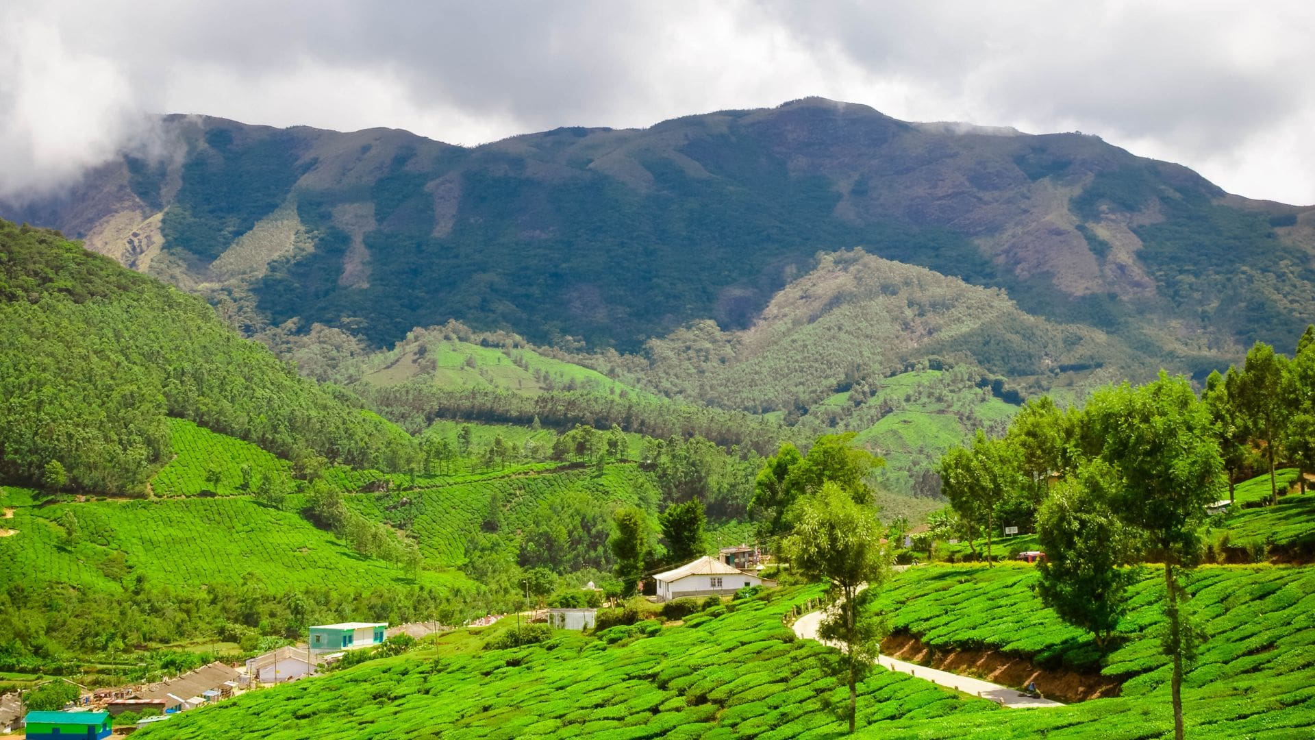 Munnar Hill Station